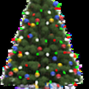 Meet your Posher, Kala